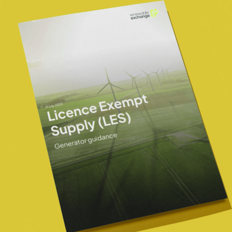 LES generator guidance